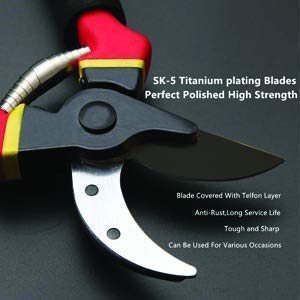 UK-0137 Garden Shears Sharp Cutter Pruners Scissor, Pruning Seeds with Grip-Handle Flower Cutter