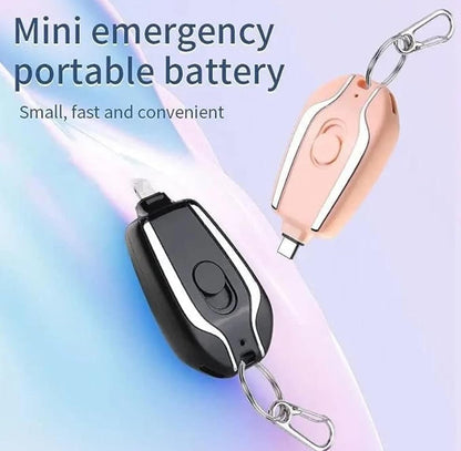 UK-0151 Keychain Power Bank for  Type-C, Key Ring Phone Charger (Multi Color)