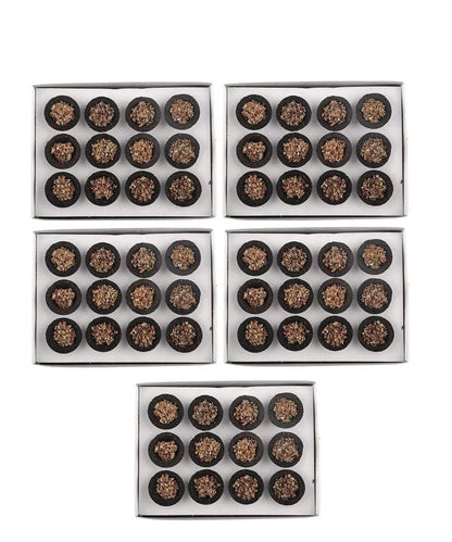 Dhoop Cups for Pooja & Havan at Home, Office, Temple & Festivals | Natural Original Mix Fragrance Dhoop Cones, Mix Fragrance, Dhuni Cup (Includes 1 Burner Plate)