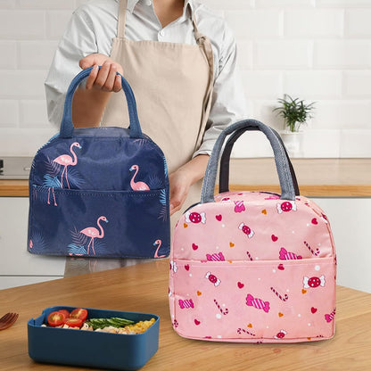 UK-0358 Lunch Bag for Office Women | Tiffin Insulated Handbag for  Lunch Box | School, Picnic, Office, Outdoor